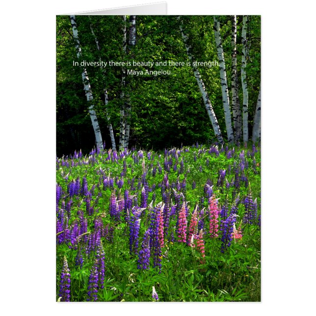 Lupine Field Celebrates Diversity (Front)