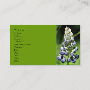Lupine Flower Nature Business Card
