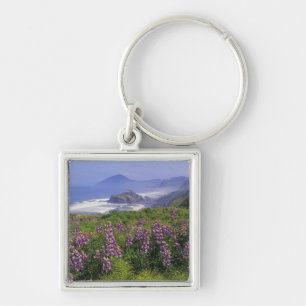 Lupine flowers and rugged coastline along key ring