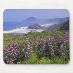 Lupine flowers and rugged coastline along mouse mat