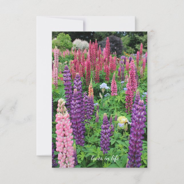 Lupine Garden Card (Front)