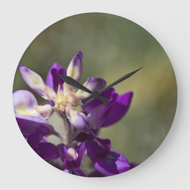 Lupine Large Clock (Front)