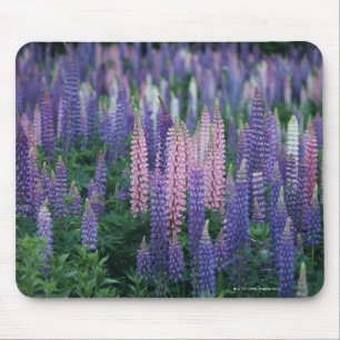 Lupine Mouse Mat