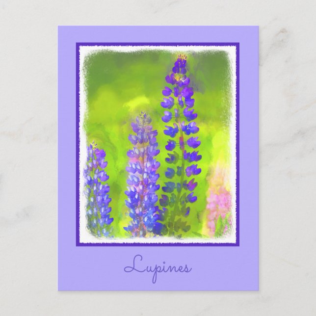 Lupine Painting - Original Flower Art Postcard (Front)
