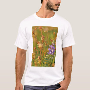 Lupine & Prairie Smoke wildflowers in Montana T-Shirt