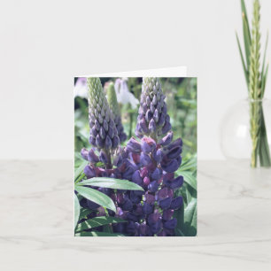 Lupine Trio Flower Photography Note Card