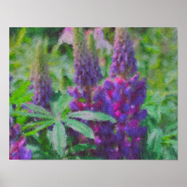 Lupine Trio Impressionist Flower Photo Painting Poster (Front)