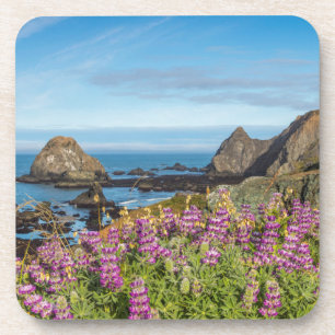 Lupine Wildflowers Cover The Hills Coaster