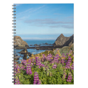 Lupine Wildflowers Cover The Hills Notebook