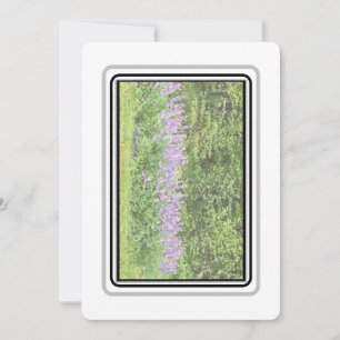 Lupines - Big Bay Rd 2023 Notecards
