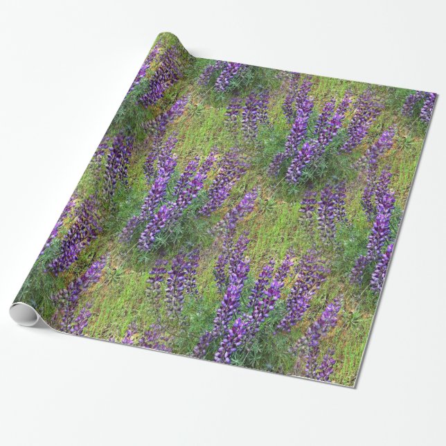Lupines Galore... Wrapping Paper (Unrolled)