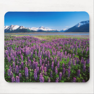 Lupines in Bloom   Kenai Mountains, Alaska Mouse Mat