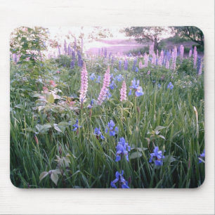 Lupines & Irises Mouse Mat