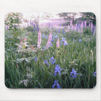 Lupines & Irises Mouse Mat