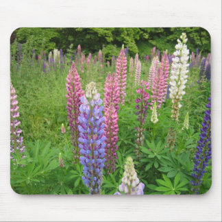 Lupins at Winkworth Arboretum, Surrey Mouse Mat