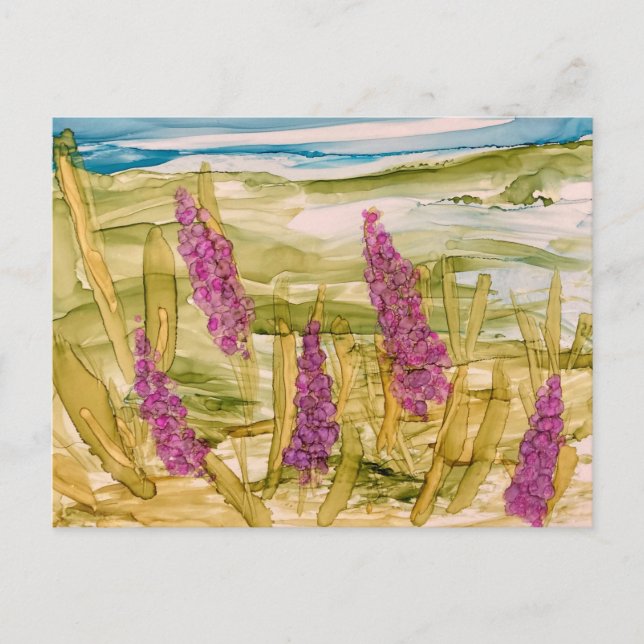 Lupins in the wild postcard (Front)