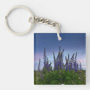 Lupins   key ring