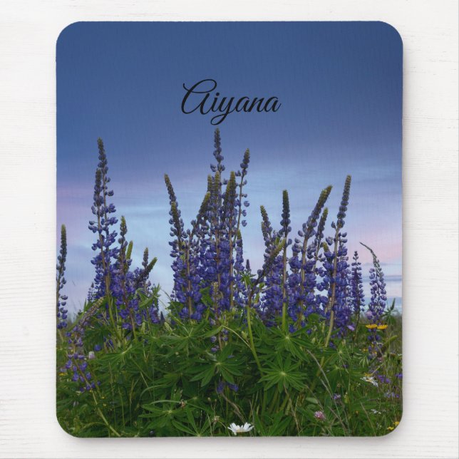 Lupins     mouse mat (Front)