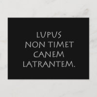 Lupus non timet canem latrantem