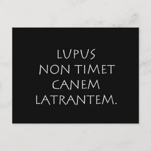 Lupus non timet canem latrantem postcard