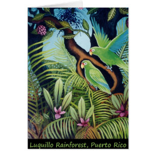 Luquillo Parrots