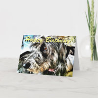 Lurcher birthday card