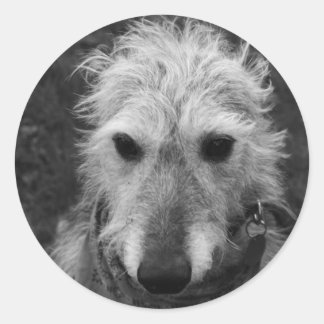 Lurcher Classic Round Sticker