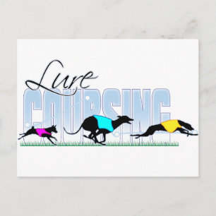Lure Coursing Dogs Postcard
