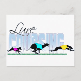 Lure Coursing Dogs Postcard