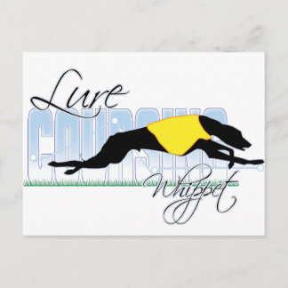 Lure Coursing Whippet Postcard