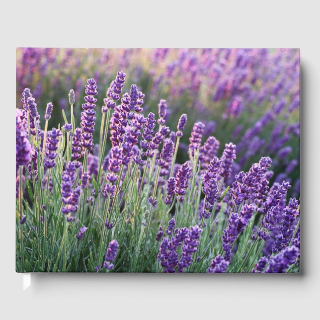 Luscious Lavender  Guest Book (Front)