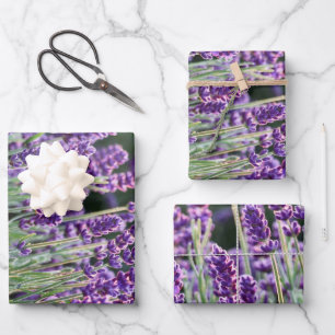 Luscious Lavender  Wrapping Paper Sheet