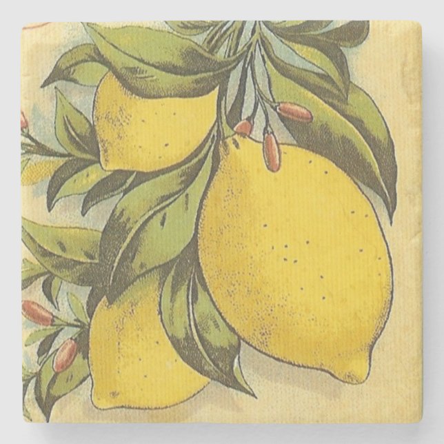 Luscious Lemons Square Stone Coaster (Front)