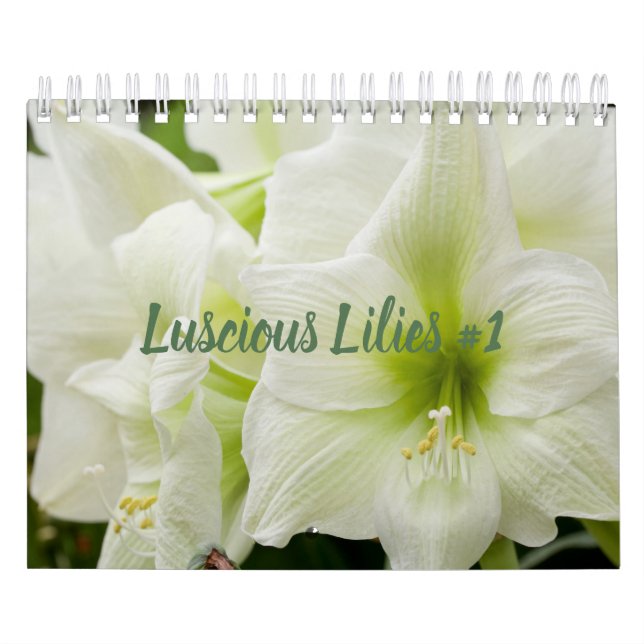 Luscious Lilies #1 Calendar (Cover)