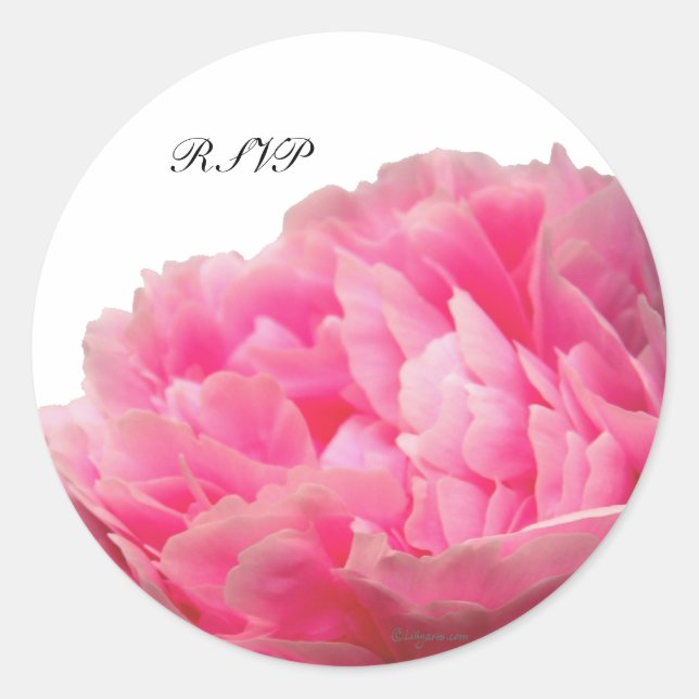 Luscious Pink Peony Custom Envelope Seals (Front)