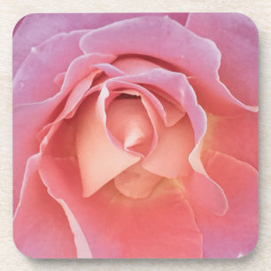 Luscious Pink Rose Coaster