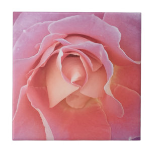 Luscious Pink Rose Tile