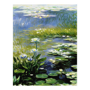 Lush Agapanthus Flowers at Giverny Photo Print