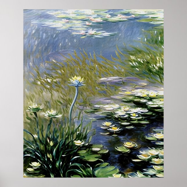 Lush Agapanthus Flowers at Giverny Poster (Front)