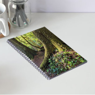 Lush Evergreen Forest Notebook