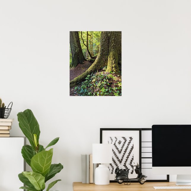 Lush Evergreen Forest Photographic Nature Poster (Home Office)