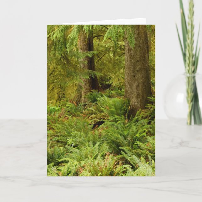 Lush Forest & Ferns | Ecola State Park, Oregon Card (Front)