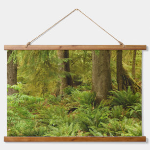 Lush Forest & Ferns   Ecola State Park, Oregon Hanging Tapestry