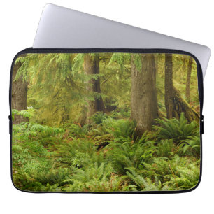 Lush Forest & Ferns Ecola State Park, Oregon Laptop Sleeve