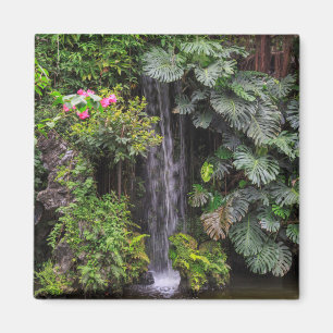 Lush Garden Waterfall, China Magnet