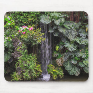 Lush Garden Waterfall, China Mouse Mat