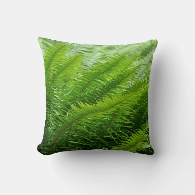 Lush green ferns    cushion (Front)