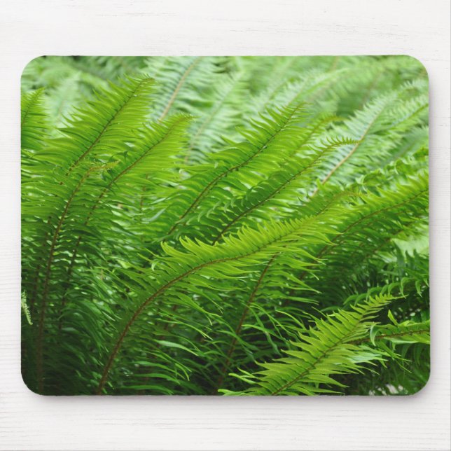 Lush green ferns mouse mat (Front)