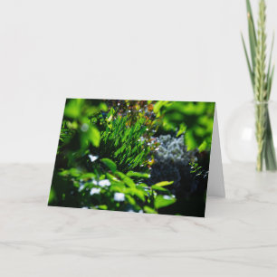 Lush green garden card