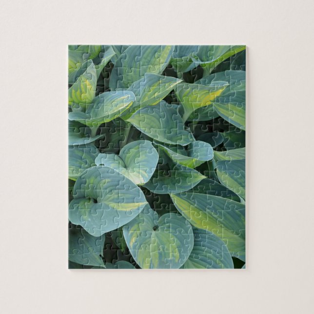 Lush green hosta plant leaves jigsaw puzzle (Vertical)